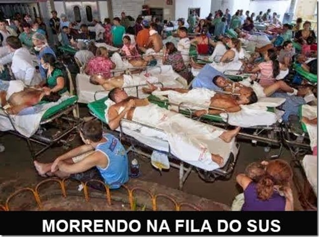 78949861_217154019288423_8132512229854543872_n