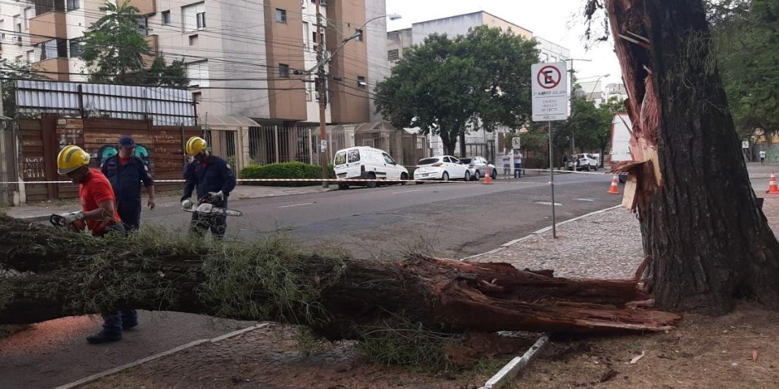 Situação teve início após a queda de uma árvore