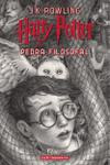 Livro - HARRY POTTER E A PEDRA FILOSOFAL (CAPA DURA) ? Edição Comemorativa dos 20 anos da Coleção Harry Potter