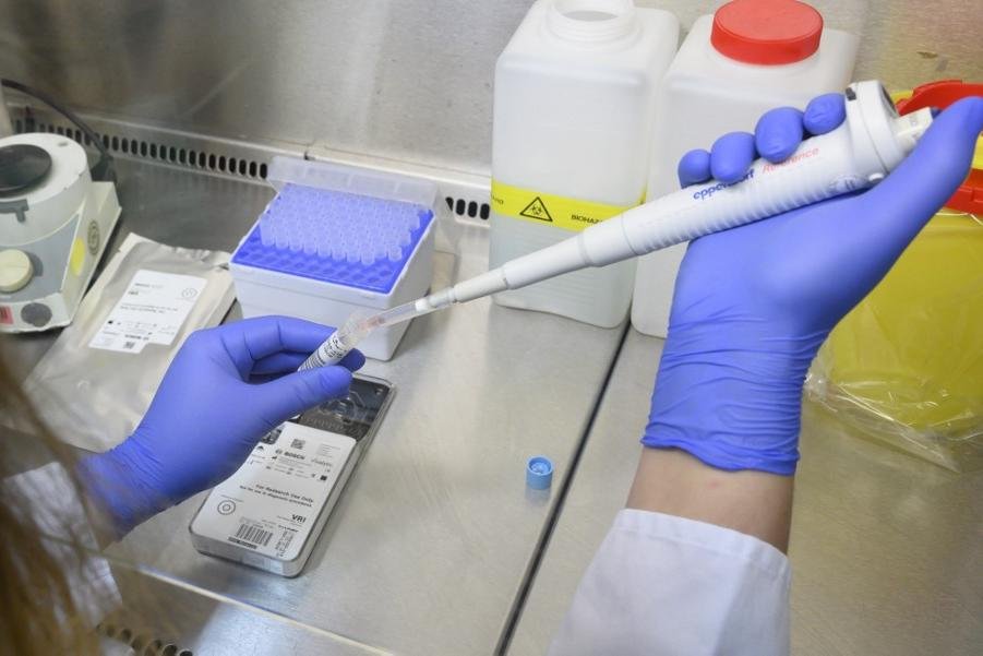 Entre os cerca de 20 anticorpos testados, quatro conseguiram bloquear a entrada viral, e desses dois foram