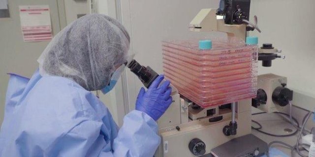 Brasil se tornou um local ideal para os testes da vacina