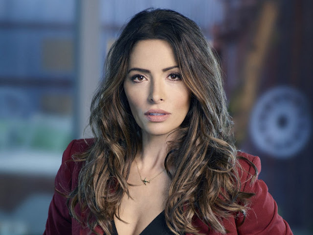 Sex/Life - Sarah Shahi Cast as Lead